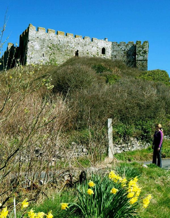 Castlemead Country House By The Sea Manorbier Luaran gambar